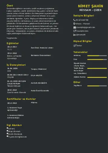 Ressam Cv Örnekleri cv indir